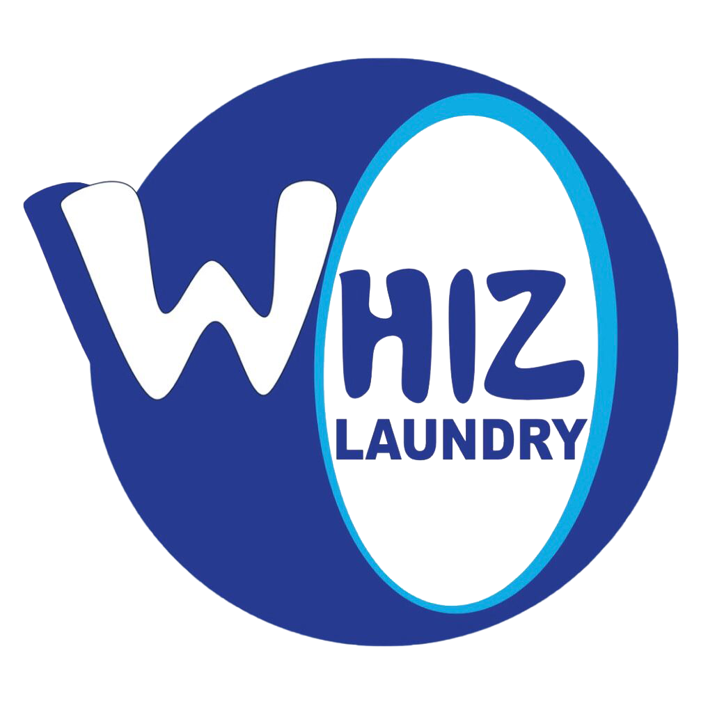 testimoni Whiz Coin Laundry